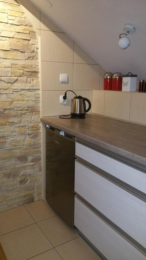 Apartmán Tatary - U Stanislawy Zakopane Exteriér fotografie